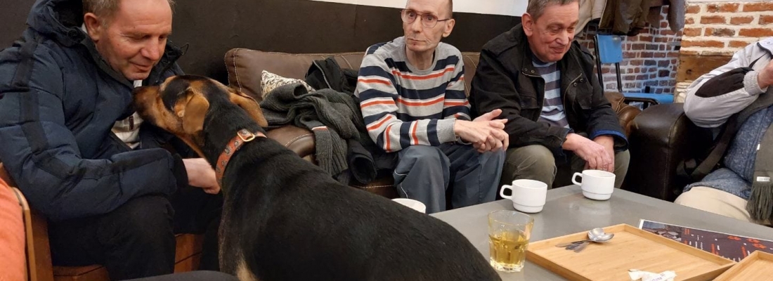 Une visite qui a du chien !