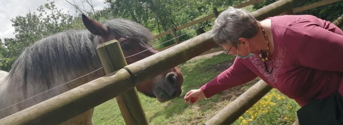 Visite à la ferme